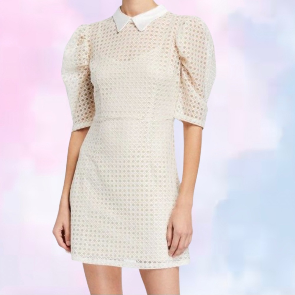 Beautiful puff sleeve mini dress